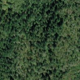 Satellite imagery of Bear Mountain, CA