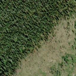 Satellite imagery of Mount Dundee, CA