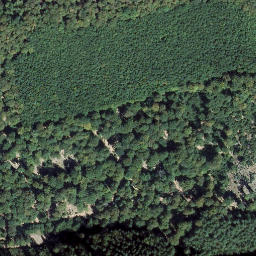 Satellite imagery of Kirchberg, DE