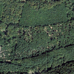 Satellite imagery of Kirchberg, DE