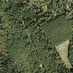 Satellite imagery of Saukopf, DE