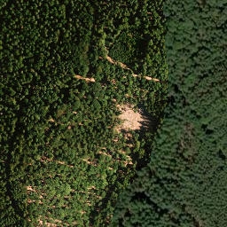 Satellite imagery of Steigerkopf, DE