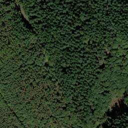 Satellite imagery of Steigerkopf, DE