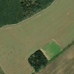 Satellite imagery of (Křenovický les) [Věžky], CZ