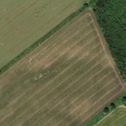 Satellite imagery of (Křenovický les) [Věžky], CZ