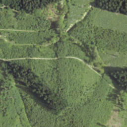 Satellite imagery of Javorník nad Minaříkem, CZ