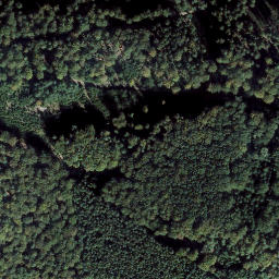 Satellite imagery of Schleifeneck, DE
