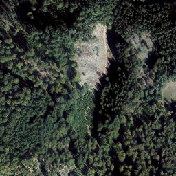 Satellite imagery of Schleifeneck, DE