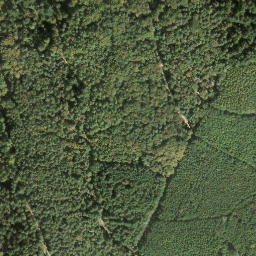 Satellite imagery of Saukopf, DE