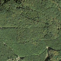Satellite imagery of Saukopf, DE