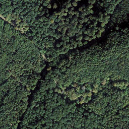Satellite imagery of Falkensteig, DE