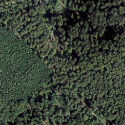 Satellite imagery of Schleifeneck, DE