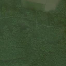 Satellite imagery of Löffelstelzen, DE