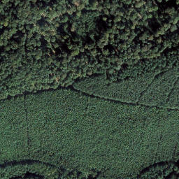 Satellite imagery of Behängköpfel, DE