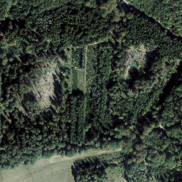 Satellite imagery of Falkensteig, DE