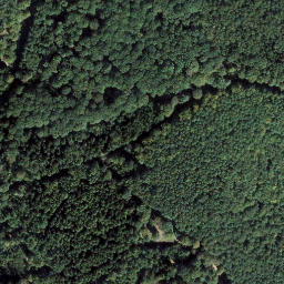 Satellite imagery of Falkensteig, DE