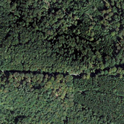 Satellite imagery of Schleifeneck, DE