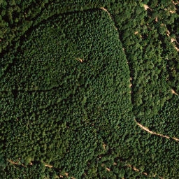 Satellite imagery of Walterberg, DE