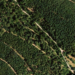 Satellite imagery of Walterberg, DE