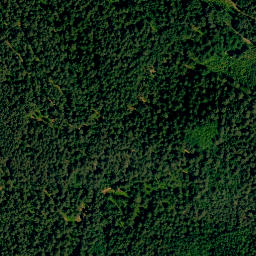 Satellite imagery of Tyrolsberg, DE