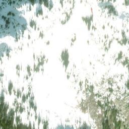Satellite imagery of Mount Coulter, CA