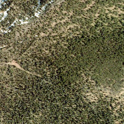 Satellite imagery of Lys Ridge, CA
