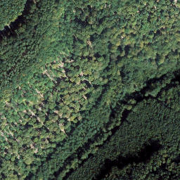 Satellite imagery of Falkensteig, DE