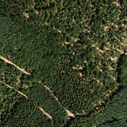 Satellite imagery of Walterberg, DE