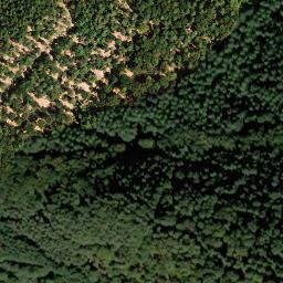 Satellite imagery of Walterberg, DE