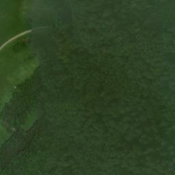 Satellite imagery of Löffelstelzen, DE