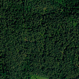 Satellite imagery of Tyrolsberg, DE