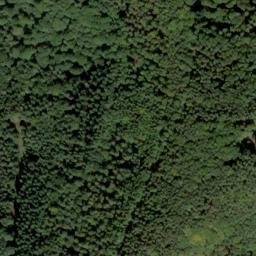 Satellite imagery of Walterberg, DE