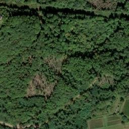 Satellite imagery of Ludwigshöhe, DE