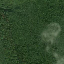 Satellite imagery of (U Tří javorů [Olšany]), CZ