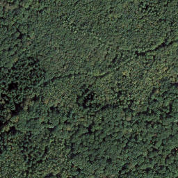 Satellite imagery of Mühlenberg, DE