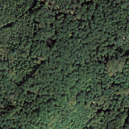 Satellite imagery of Mühlenberg, DE