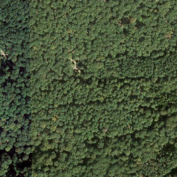 Satellite imagery of Hortenkopf, DE