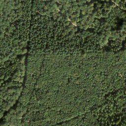 Satellite imagery of Hortenkopf, DE