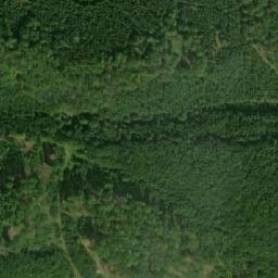 Satellite imagery of (U Tří javorů [Olšany]), CZ