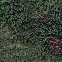 Satellite imagery of Mount Casey, CA