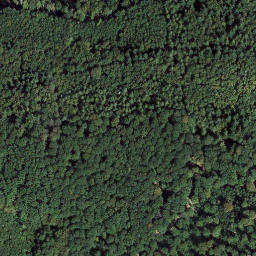 Satellite imagery of Mühlenberg, DE