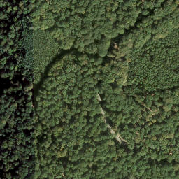 Satellite imagery of Hortenkopf, DE