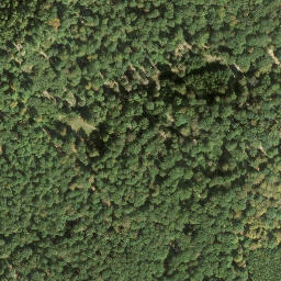 Satellite imagery of Hortenkopf, DE