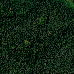 Satellite imagery of Schellenberg, DE