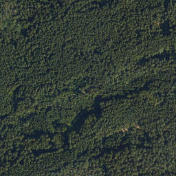 Satellite imagery of Dachsberg, DE