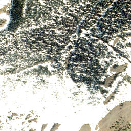 Satellite imagery of Middle Kootenay Pass, CA