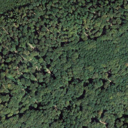 Satellite imagery of Mühlenberg, DE