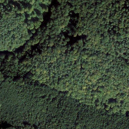 Satellite imagery of Mühlenberg, DE