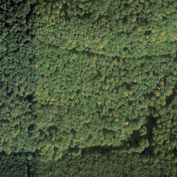 Satellite imagery of Hortenkopf, DE