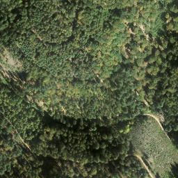 Satellite imagery of Geiskopf, DE